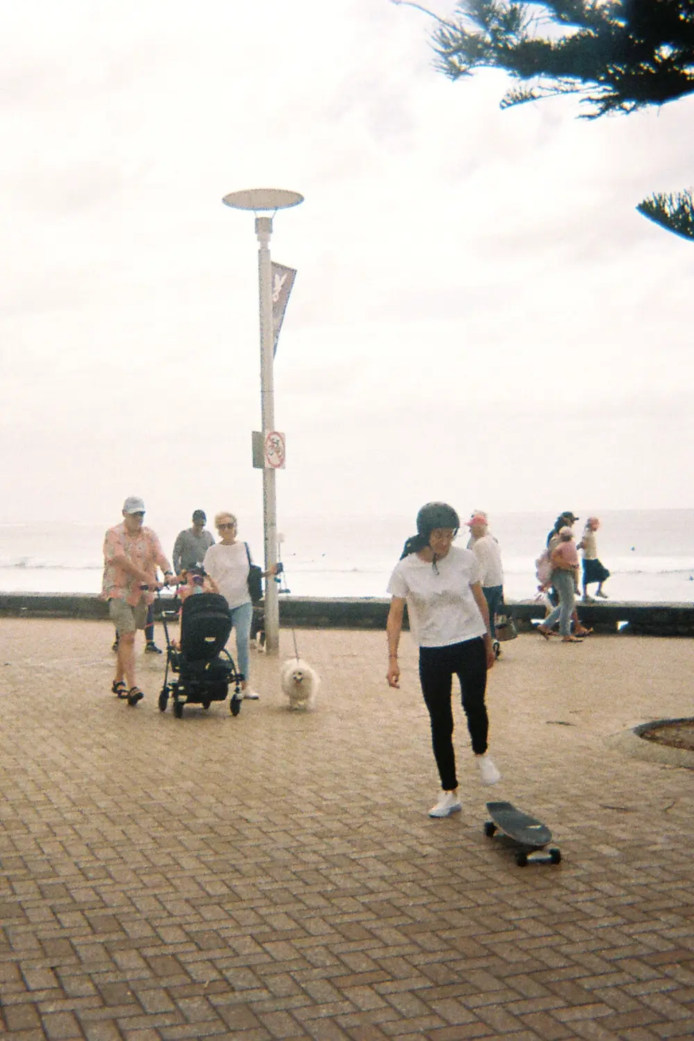Image 3
