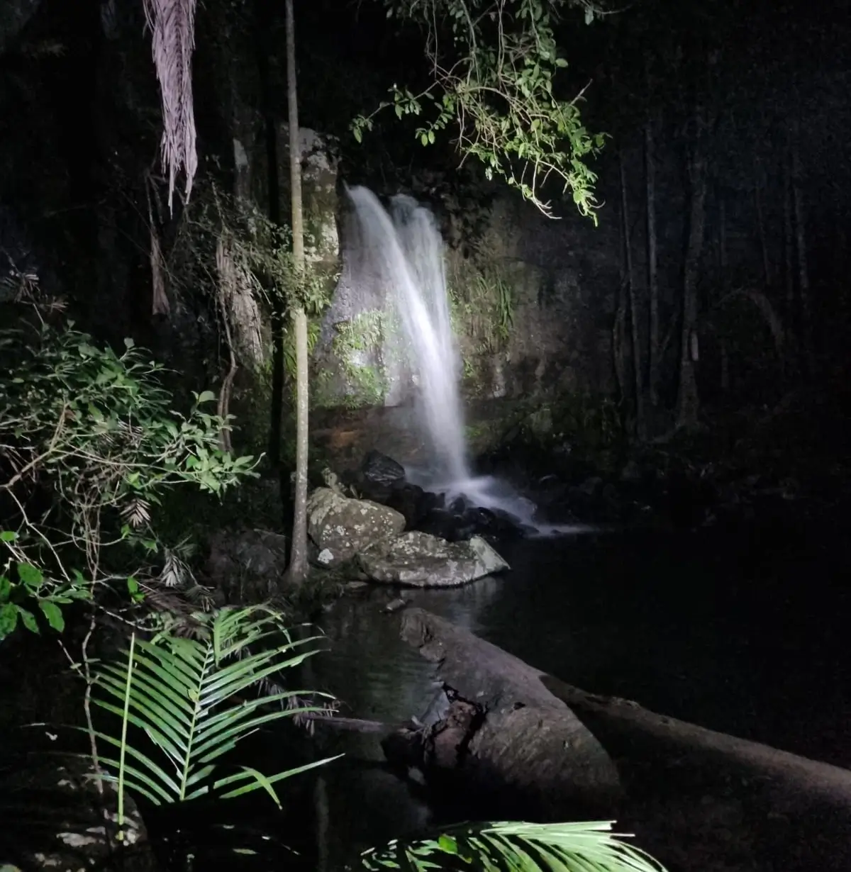 Image 5