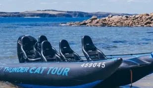 Jet Boat Ride on the Breathtaking Bass Coast thumbnail